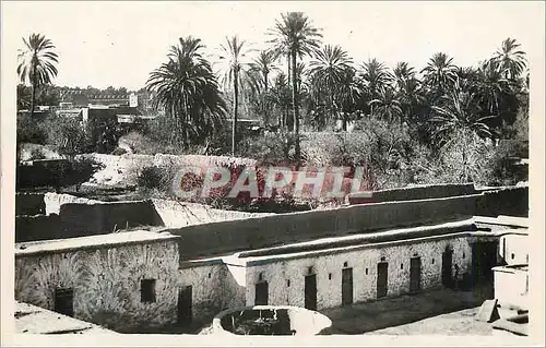 Cartes postales moderne Maroc dans le sous parmeraie aux environs de taroudont