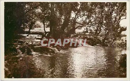 Cartes postales moderne Ifrane oued borde d'arbres