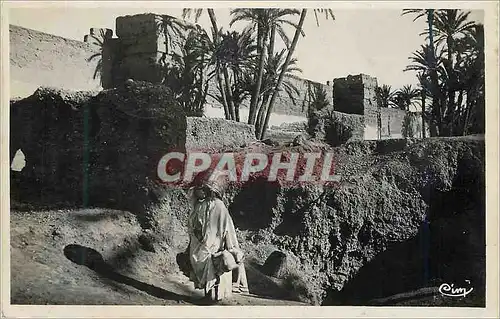 Cartes postales moderne Scenes et types de l'afrique du nord (maroc) sous les remparts