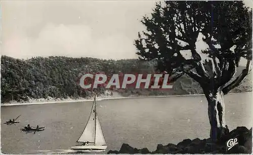 Cartes postales moderne Ifrane l'aguelmane de sidi ali