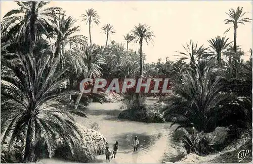 Cartes postales moderne Scenes et types un oued dans l'oasis