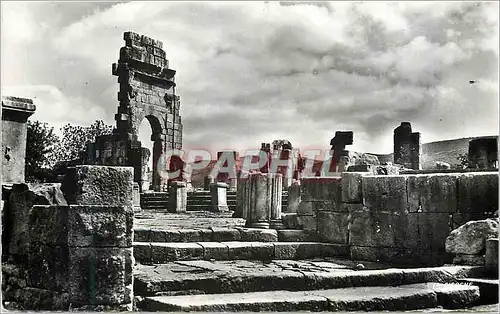 Cartes postales moderne Volubilis entree du forum