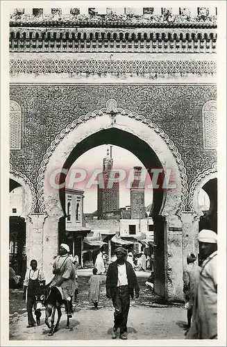 Cartes postales moderne Fes bou jeloud Ane Donkey
