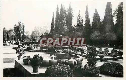 Cartes postales moderne Fes jardin de bou jeloud