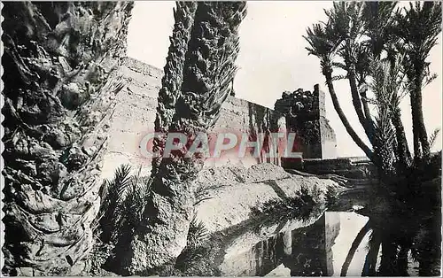 Cartes postales moderne Marrakech remparts