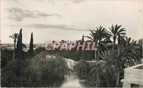 Cartes postales moderne Marrakech vue artistique