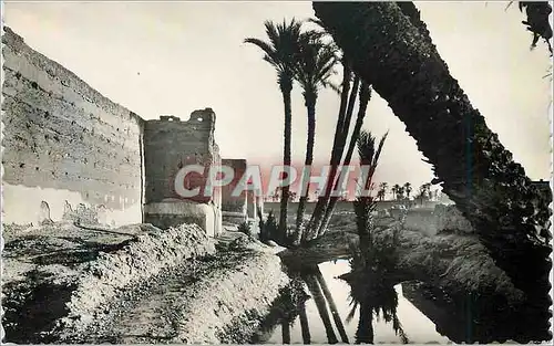 Cartes postales moderne Marrakech remparts palmeraie