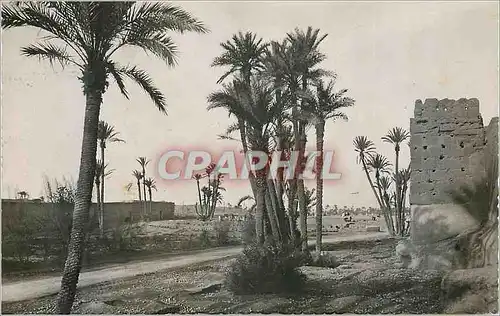 Cartes postales moderne Marrakech l'atlas vu de la palmeraie