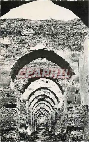 Cartes postales moderne Meknes ruines des ecuries de moulay ismael