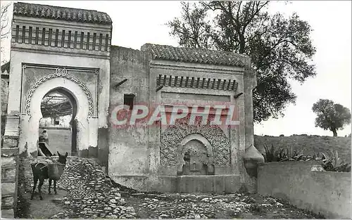 Cartes postales moderne Meknes fontaine et porte sur les remparts