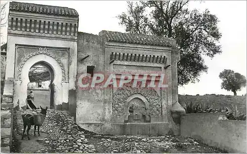 Moderne Karte Meknes fontaine et porte sur les remparts