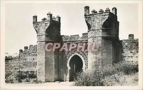 Cartes postales moderne Rabat la porte du chellah