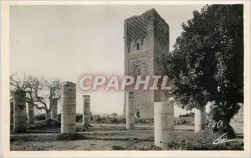 Cartes postales moderne Rabat la tour hassan