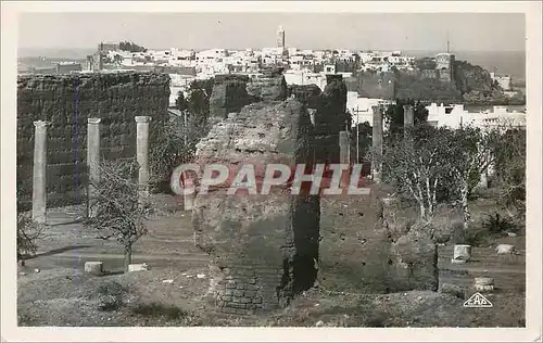 Cartes postales moderne Rabat les ruines de la tour hassan et la pointe des oudaias
