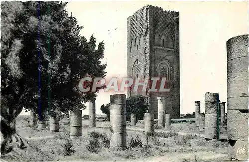 Cartes postales moderne Rabat la tour hassan