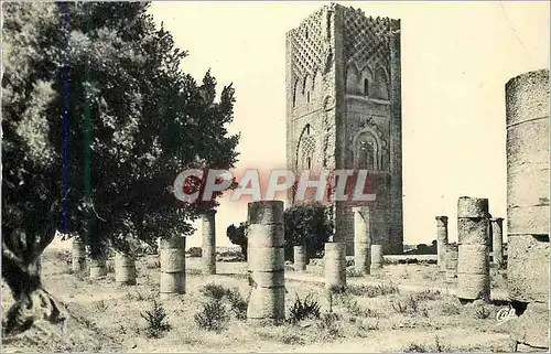 Cartes postales moderne Rabat la tour hassan