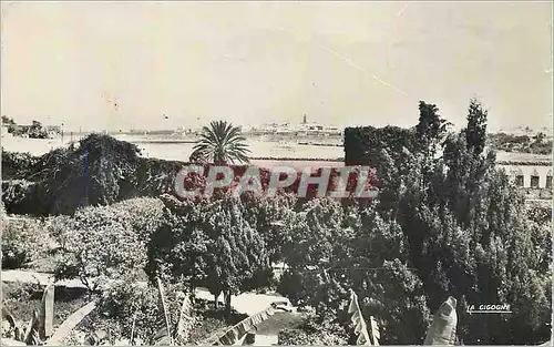 Cartes postales moderne Rabat sale vue des oudayas