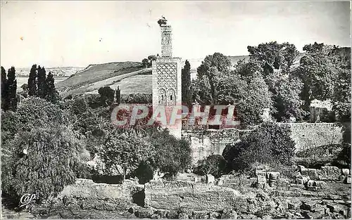 Moderne Karte Rabat vestiges du chellah et minaret de l'ancienne mosquee