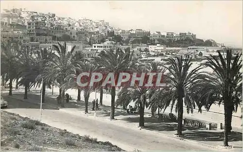 Cartes postales moderne Tanger la medina et l'avenue d'espagne