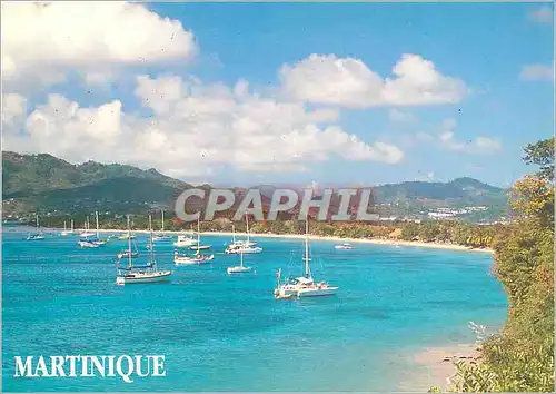 Cartes postales moderne Martinique