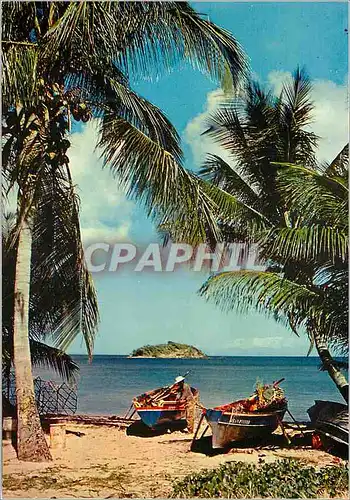 Cartes postales moderne Martinique plage de pecheurs a tartane