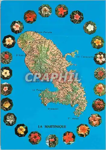 Cartes postales moderne Martinique Madinina L'Ile aux Fleurs Hibiscus