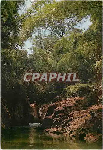 Cartes postales moderne Martinique Ajoupa Bouillon Le Saut Babin