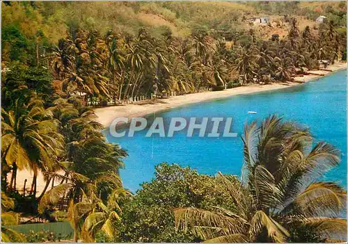 Cartes postales moderne Martinique Anse d'Arlets La Grande Anse