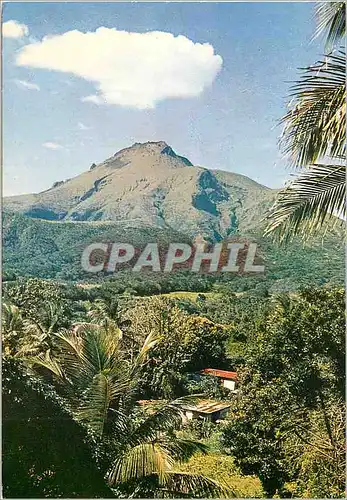 Moderne Karte Martinique Le Montagne Pelee vue du Morne Rouge