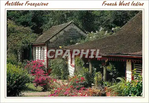 Cartes postales moderne Antilles Francaise