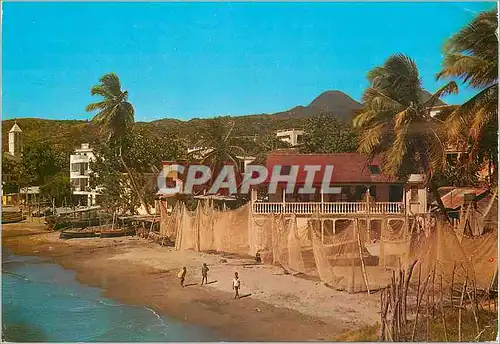 Cartes postales moderne Martinique Le Village de Schoelcher