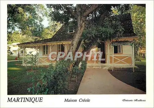 Cartes postales moderne Martinique Maison Creole