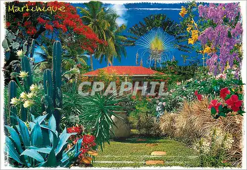 Moderne Karte Martinique Antilles Francaise Jardin Tropical