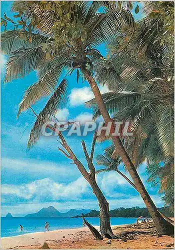 Cartes postales moderne Martinique Sainte-Anne Plage des Salines