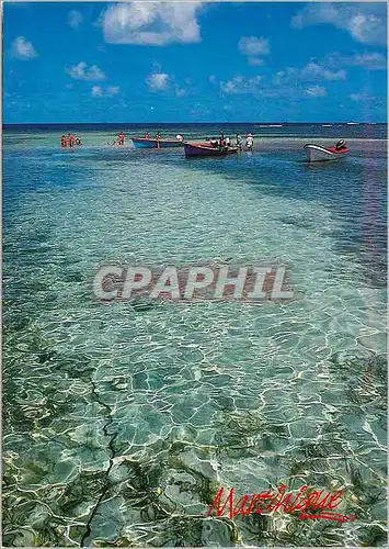 Cartes postales moderne Martinique Baignoire de Josephine cote altantique