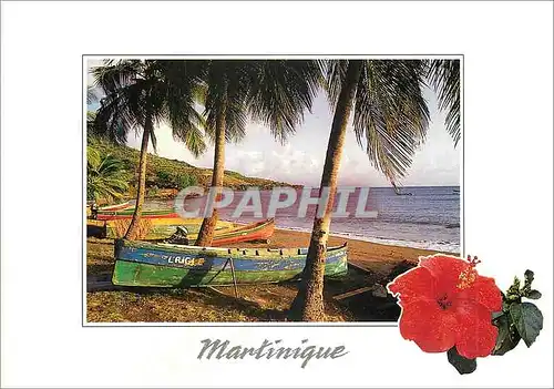 Cartes postales moderne Martinique Sous les cocotiers yoles et gommiers