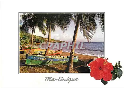 Moderne Karte Martinique Sous les cocotiers yoles et gommiers