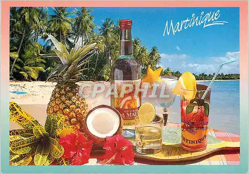 Cartes postales moderne Martinique Rechette du Planteur