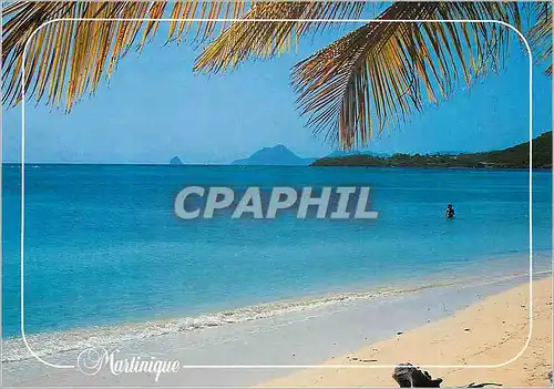 Cartes postales moderne Martinique La plage des Salines