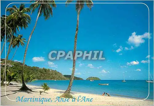 Cartes postales moderne Martinique Anse a l'Ane