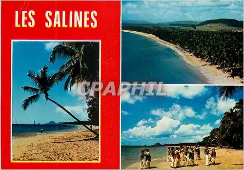 Moderne Karte Martinique Plage des Salines