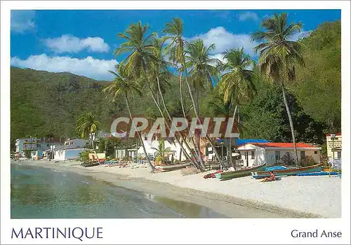 Cartes postales moderne Martinique Grand Anse