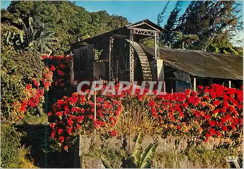 Moderne Karte Martinique Vieux moulin vers Saint-Pierre