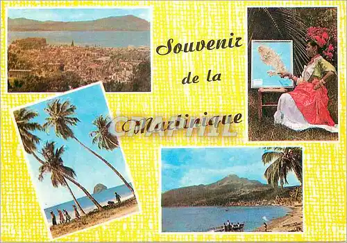 Cartes postales moderne Martinique Vue de Fort-de-France Le Diamant
