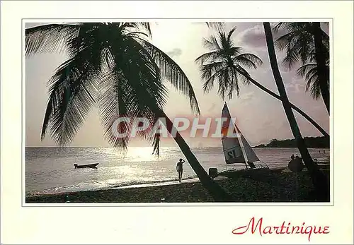 Cartes postales moderne Martinique Soleil Argente