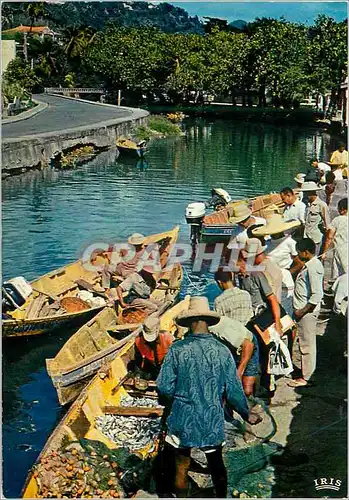 Cartes postales moderne Martinique Fort-de-France Vente du poison