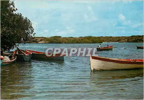 Cartes postales moderne Martinique Sainte-Anne Le Cap Chevalier