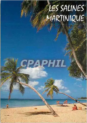 Cartes postales moderne Martinique Les Salines