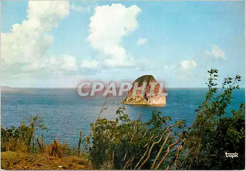 Moderne Karte Martinique Le pittoresque rocher du Diamant