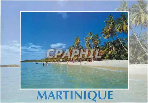 Moderne Karte Martinique La Plage des Salines